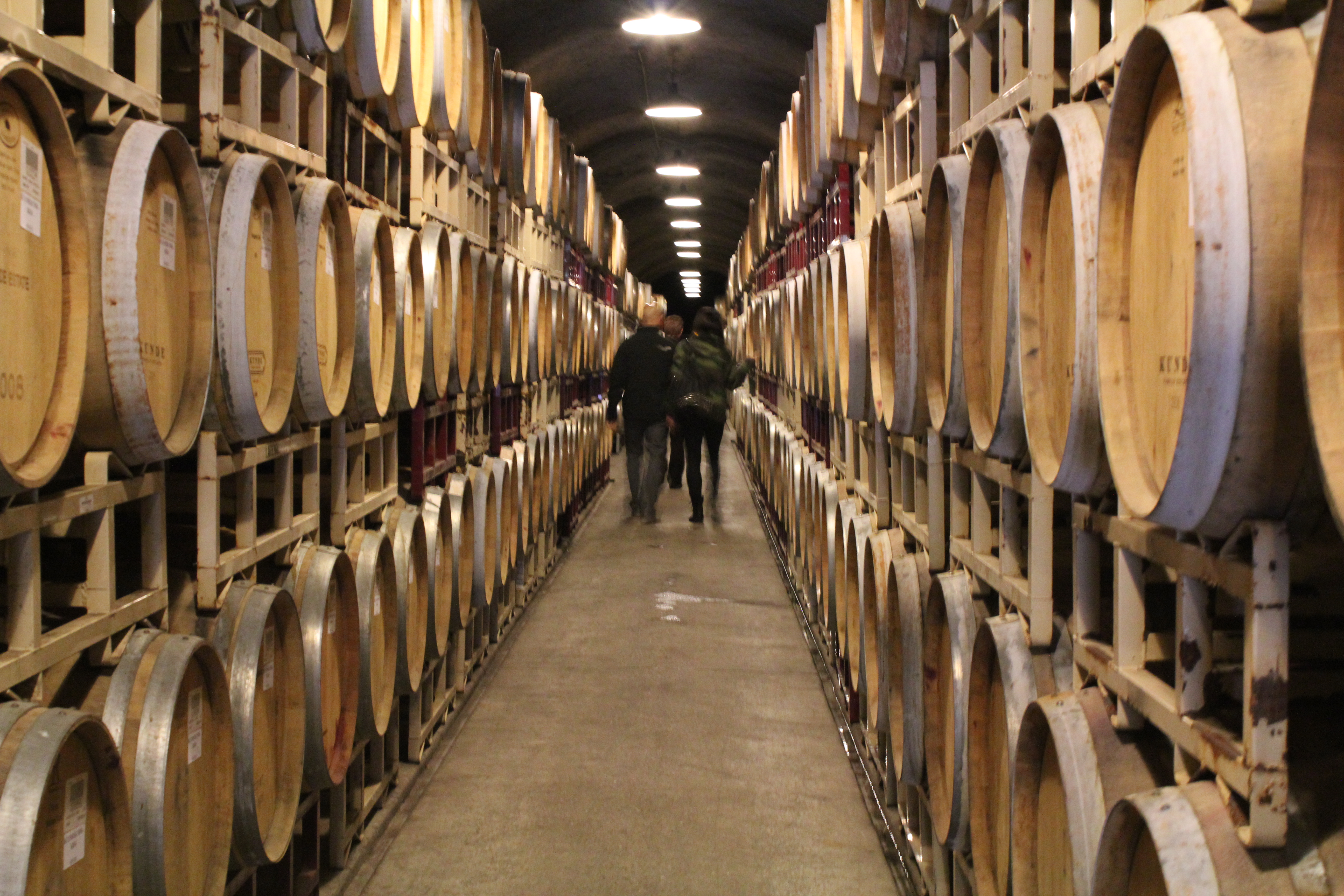Kunde Winery wine cave, sonoma in december