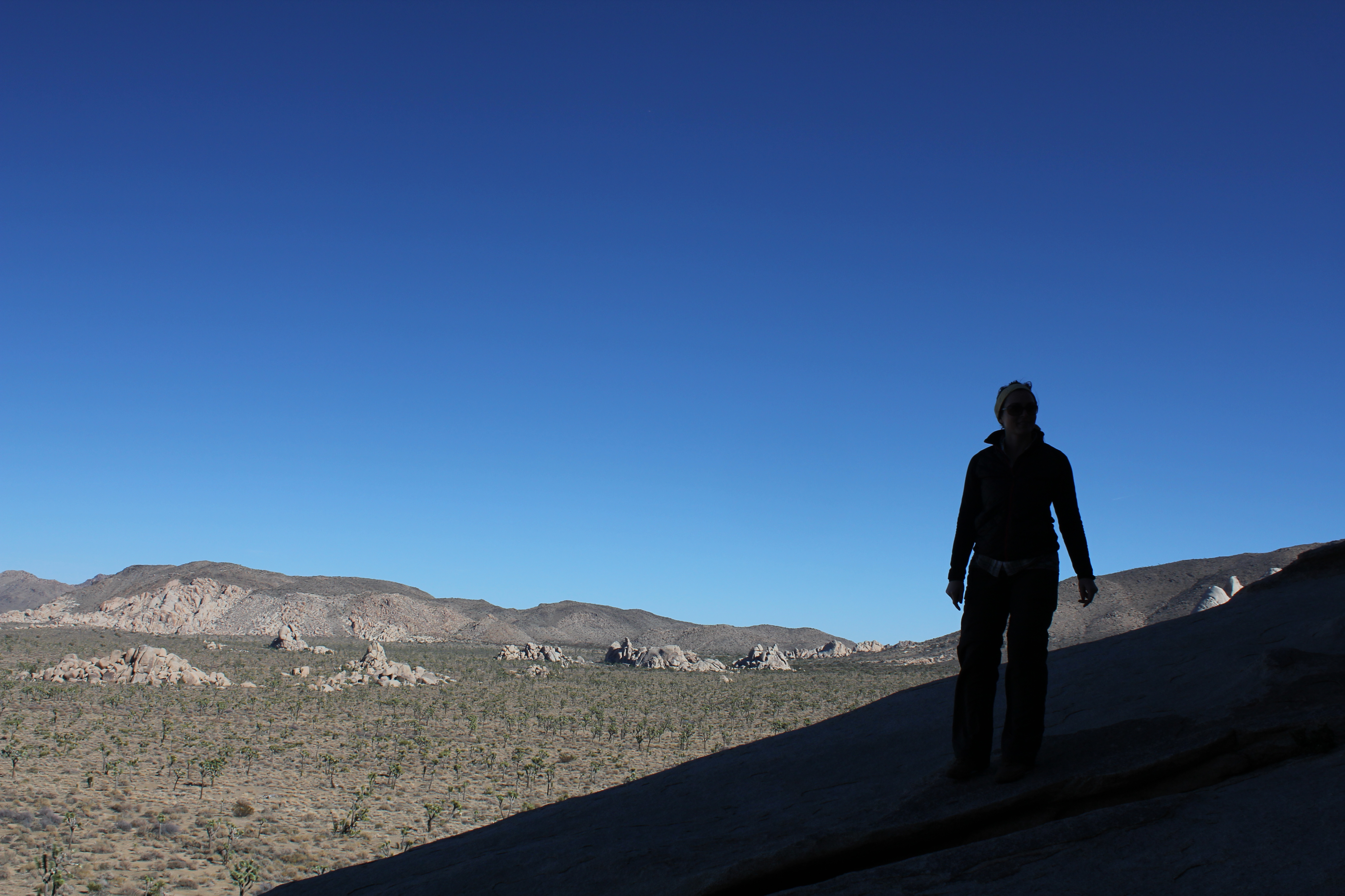 joshua tree in december, Joshua Tree National Park scramble
