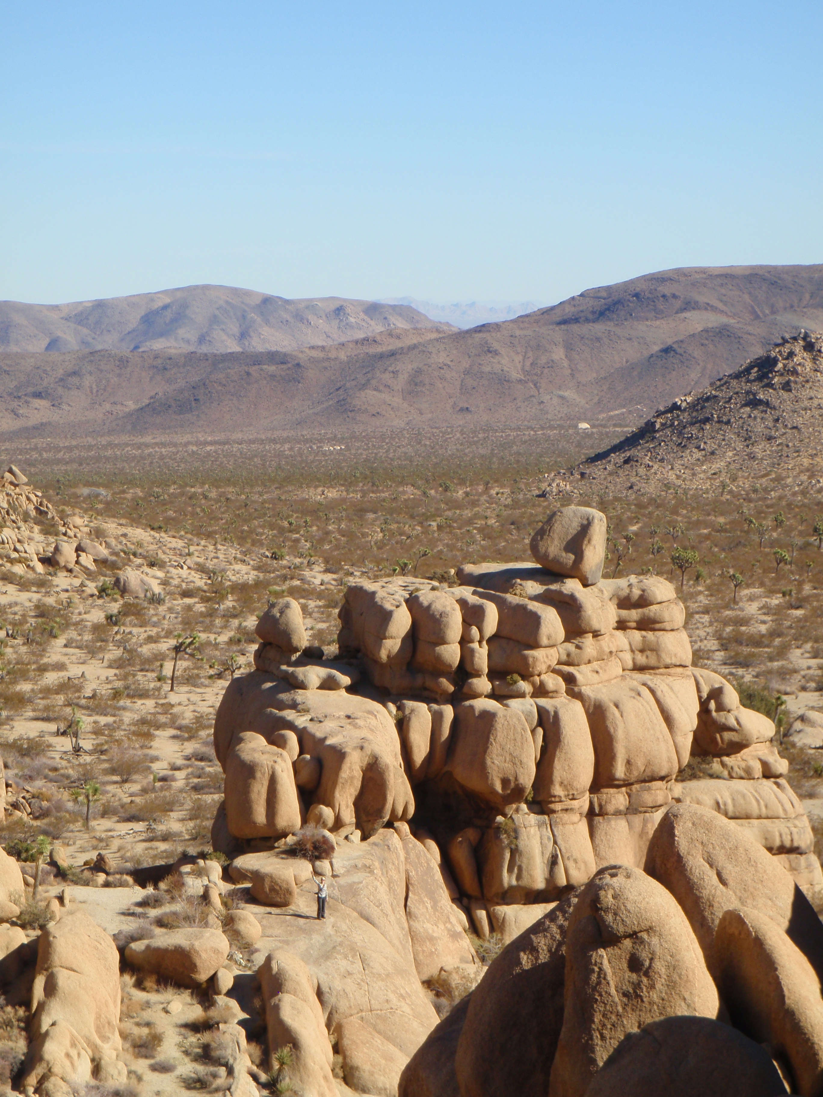 joshua tree in december, Joshua Tree National Park scramble