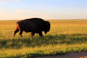 South Dakota, sunset