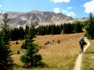 Colorado, backpacking, meadow