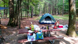 Manistee National Forest, car camping, infant, beach
