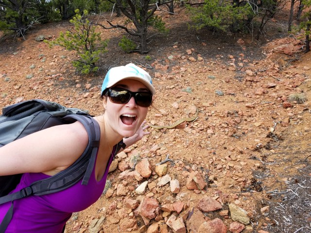 snake, atalayamtn, santafe, nm, newmexico, hiking, reptile