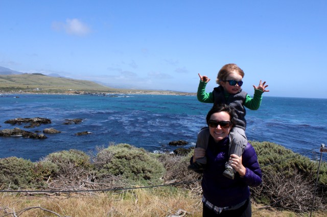 elephantseals, sansimeonca, california, ca, bigsur, ocean, pacific, epicroadtrip