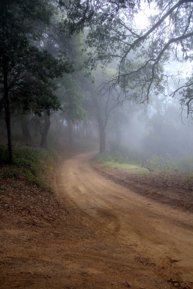 epicroadtrip, bigsur, ca, california, nacemiento, foggy, mountains, mountainroad
