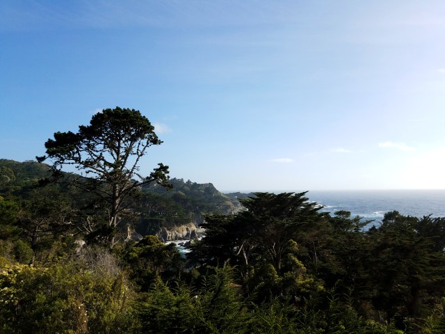 hyatt, oceanview, carmelbythesea, monterey, cyprus, cyprustree, carmel highlands