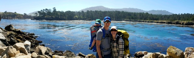 monterey, carmelbythesea, pointlobosstatenaturalreserve, california, ca