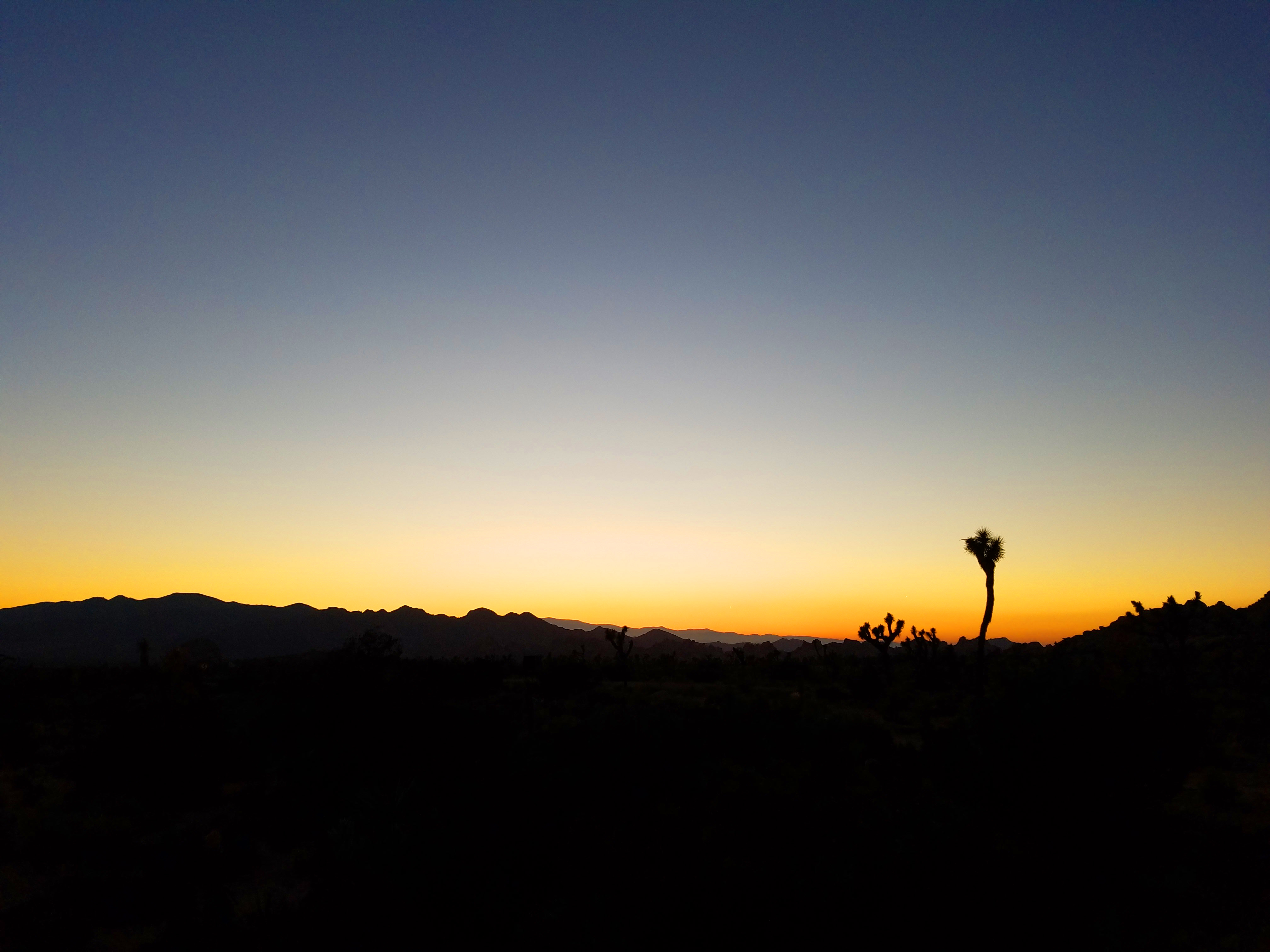 joshua tree natioal park, epic road trip, joshua tree, california, mojave desert, mojave sunset