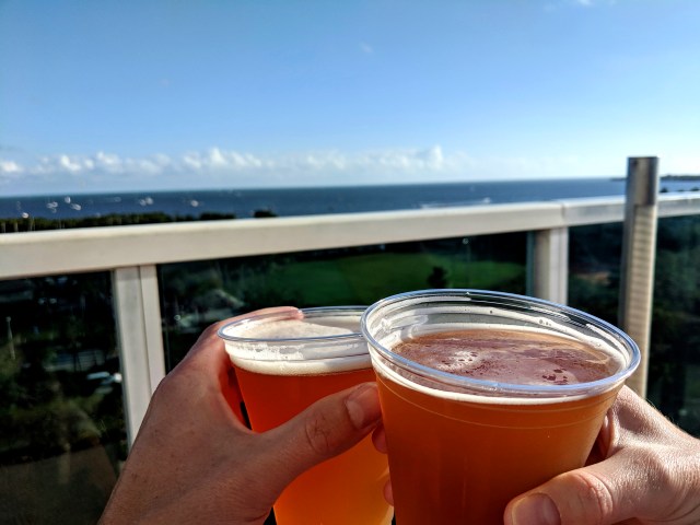 arya coconut grove, aria coconut grove, rooftop pool miami, rooftop pool coconut grove