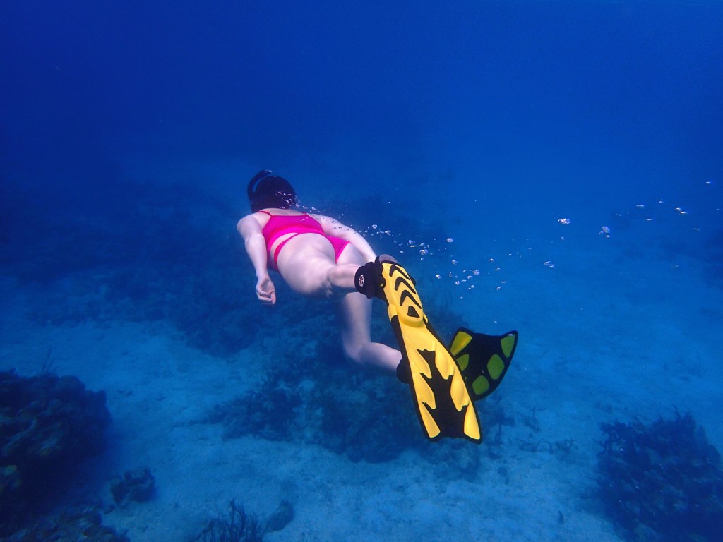 Snorkeling, BVI, free diving, sailing, bvi sailing, bvi snorkeling, lovango cay