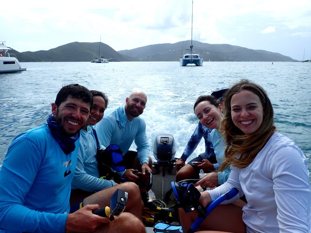 snorkeling bvi, bvi reef, saba rock snorkeling, sailing bvi